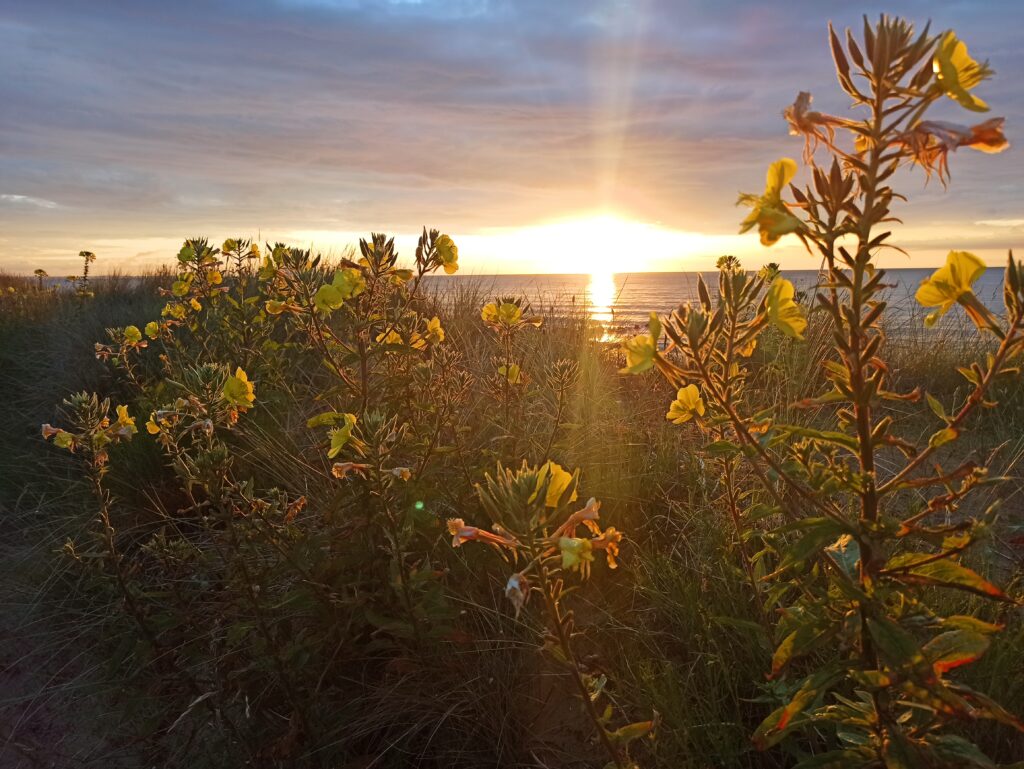 coucher de soleil sur la côte fleurie - EMCF Cabourg
