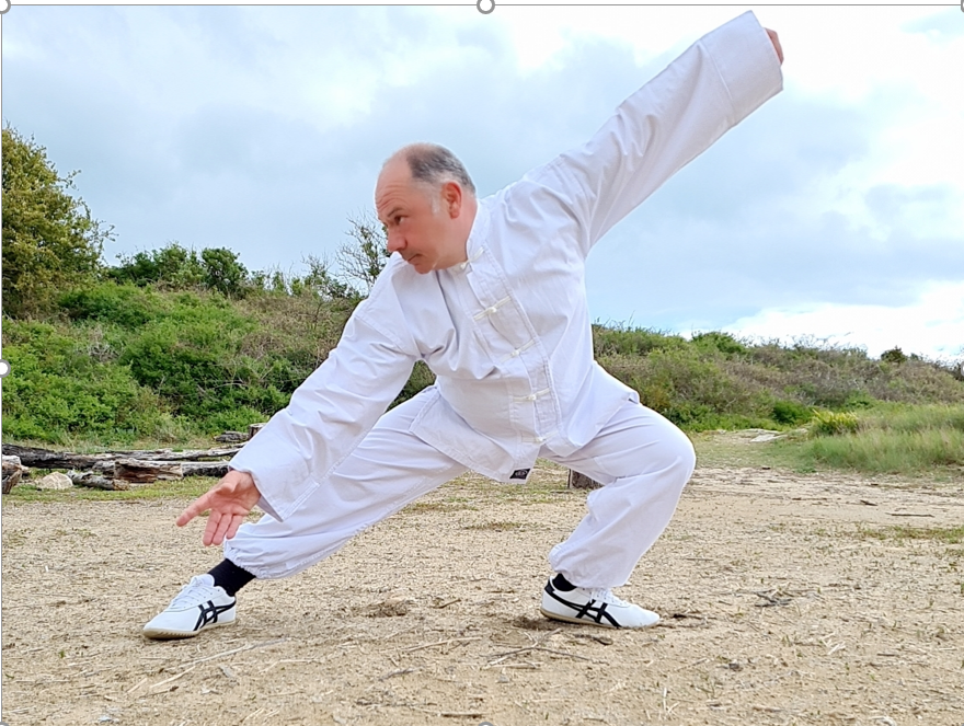 enseignant tai chi chuan et qi gong - serpent qui rampe - EMCF Cabourg